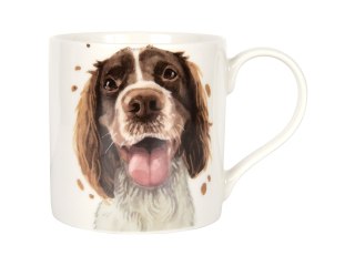 Kubek - Springer Spaniel