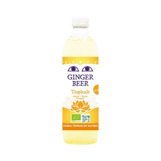 PIWO IMBIROWE O SMAKU OWOCÓW TROPIKALNYCH BEZALKOHOLOWE FAIR FOR LIFE BIO 750 ml - KARMA