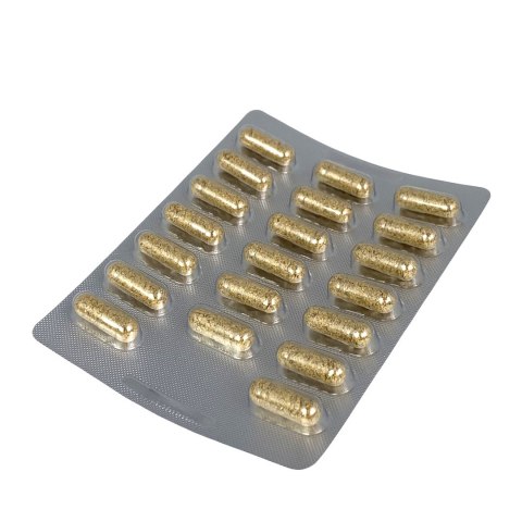 B17 Apricarc 1600mg, 60kaps. TEREZIA