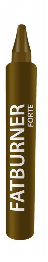 Fatburner Forte płyn 10 fiolek x 10ml GINSENG POLAND
