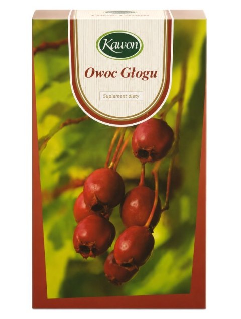 Głóg owoc fix 20*3g KAWON