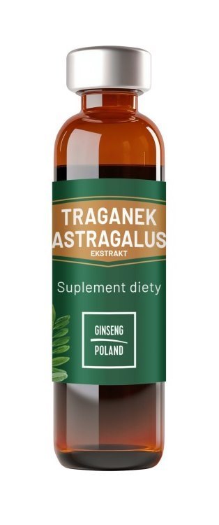 Traganek Astragalus ekstrakt 10x10ml (fiolki) GINSENG POLAND