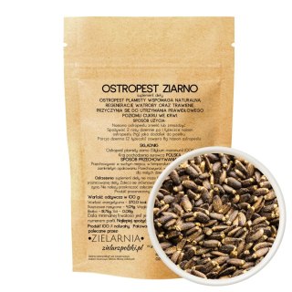 Ostropest plamisty ziarno 500g ZIELARZPOLSKI.PL