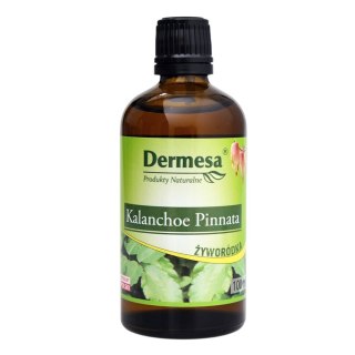 DERMESA Sok z Żyworódki Kalanchoe Pinnata 100ml