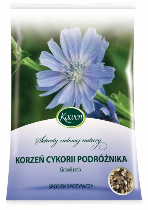 Cykoria podróżnik korzeń 50g KAWON