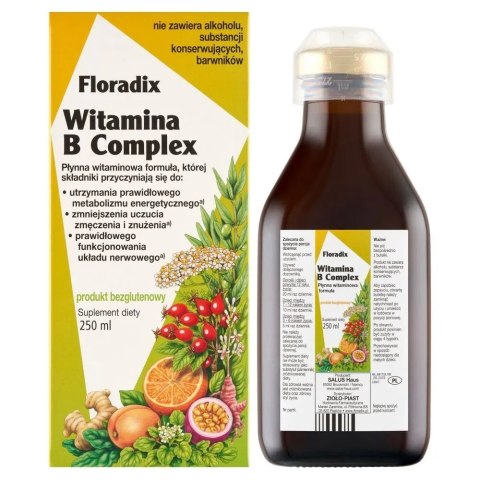 FLORADIX Witamina B complex płynna formuła 250ml SALUS