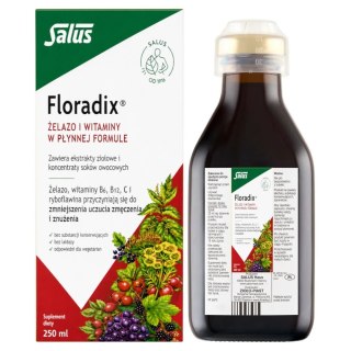 FLORADIX Żelazo i witaminy w płynnej formule 250ml SALUS
