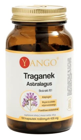 YANGO Traganek Astragalus - ekstrakt 10:1 340mg, 100 kaps.