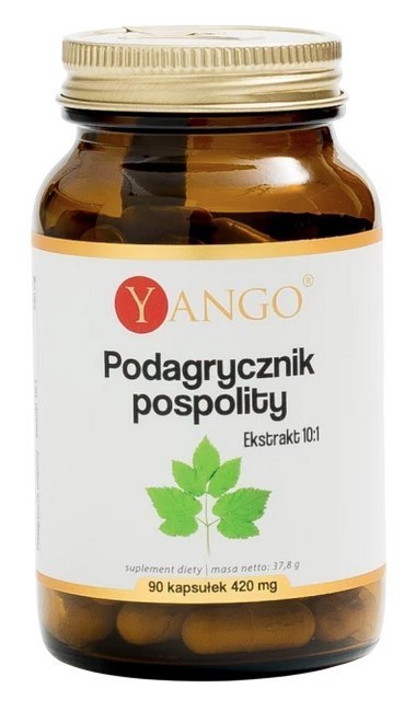 YANGO Podagrycznik pospolity - ekstrakt 10:1 330mg, 90 kaps.
