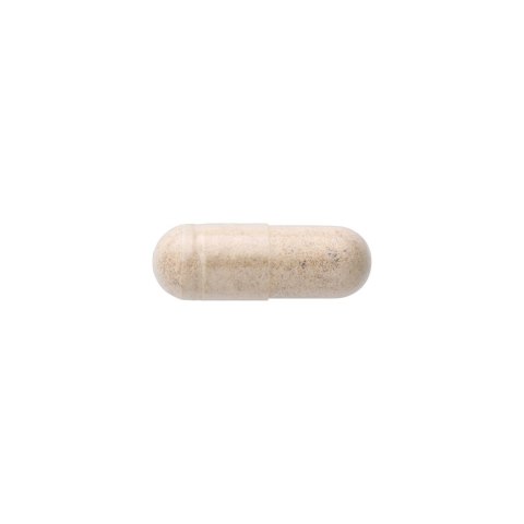 SWANSON Chaga Mushroom 400mg, 60kaps.