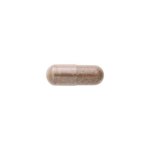 SWANSON Coleus Forskohlii 400mg, 60k. - Pokrzywa Indyjska