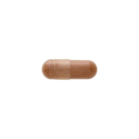SWANSON Dandelion root 515mg, 60kaps. - Mniszek lekarski