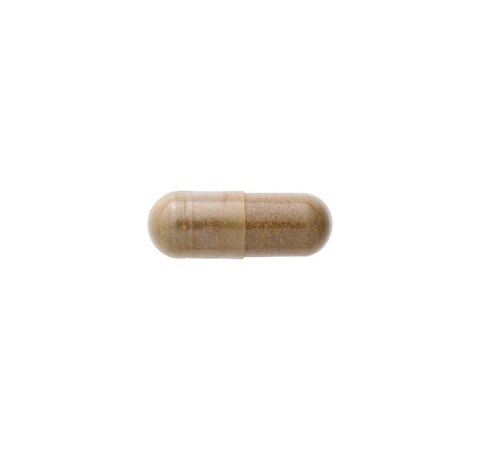 SWANSON Dong Quai 530mg, 100kaps.