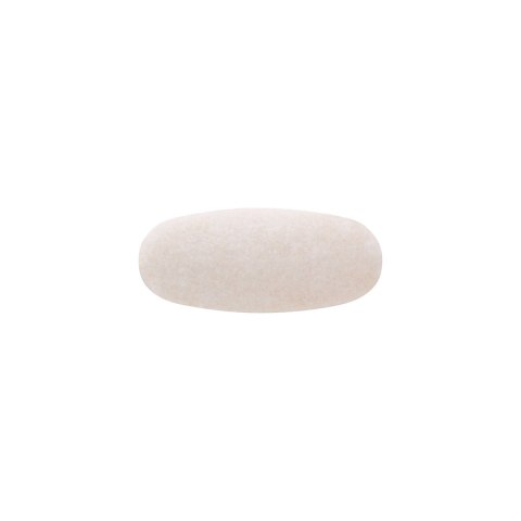 SWANSON L-Carnitine 500mg, 100 vtabl. - L-Karnityna
