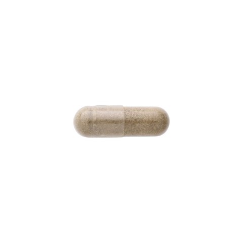 SWANSON Red Clover Blossom 430mg 90kaps. - koniczyna czerwona