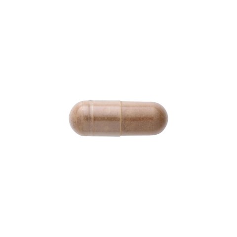 SWANSON Reishi Mushroom 600mg, 60 kaps.